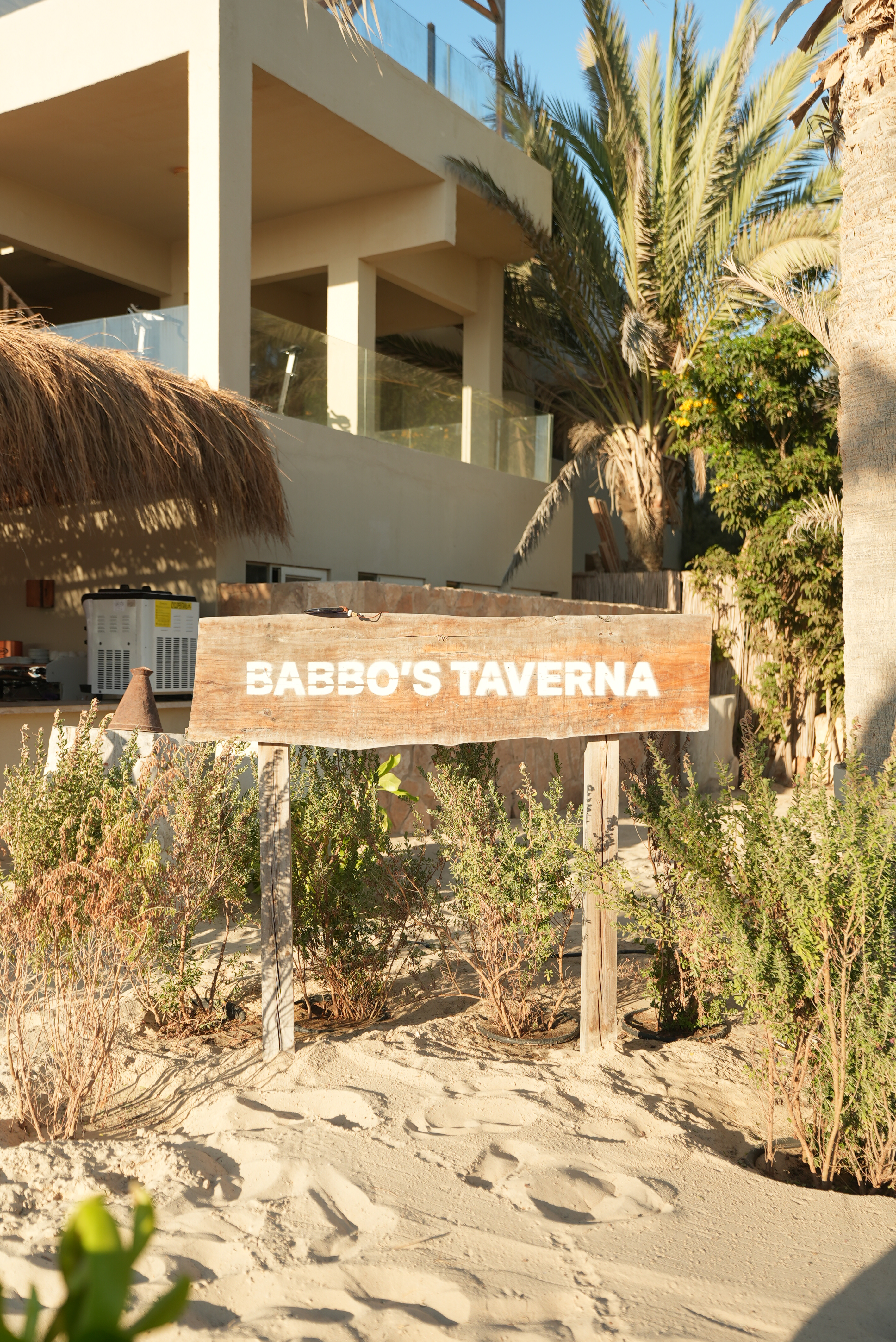 Babbo's Taverna